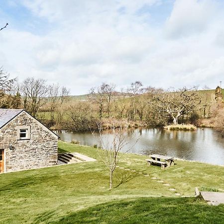 Penuwch Boathouse- Lakeside Rural Cottage Ideal For Families With Indoor Heated Pool كرمرثن المظهر الخارجي الصورة